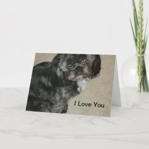 Shih Tzu Je T'Aime Cartes