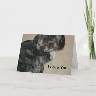 Shih Tzu Je T'Aime Cartes