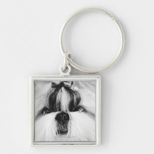 Shih Tzu Keychain