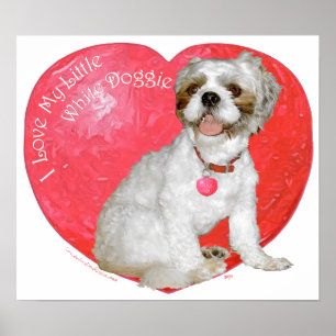 Shih Tzu / Lhasa Apso Valentine's Day Poster