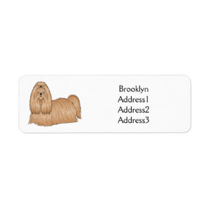 Shih tzu long hair dog cartoon illustration