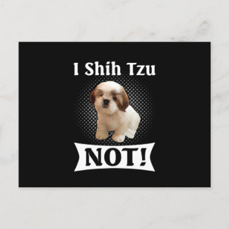 Shih Tzu Love Cute Funny Shih Tzu Announcement Postcard