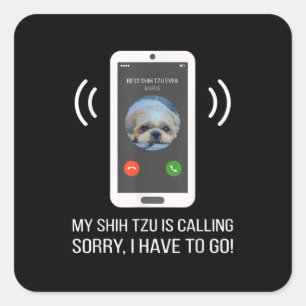 Shih Tzu Lover   Funny Shih Tzu Dog Square Sticker