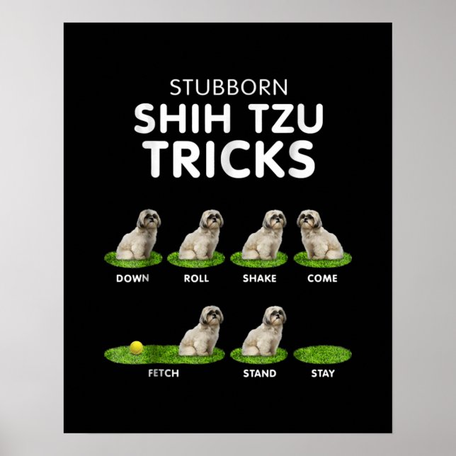 Shih Tzu Lover | Funny Shih Tzu Trick Dog Love Poster (Front)