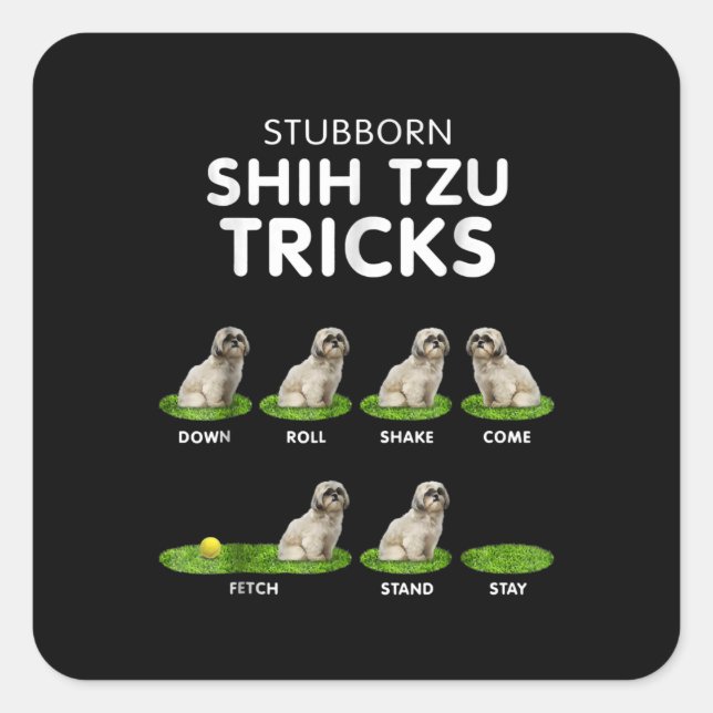 Shih Tzu Lover | Funny Shih Tzu Trick Dog Love Square Sticker (Front)