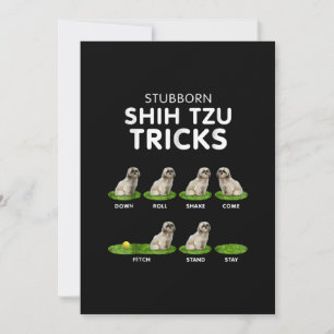 Shih Tzu Lover   Funny Shih Tzu Trick Dog Love Thank You Card