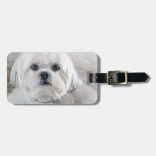 Shih Tzu Luggage Tag