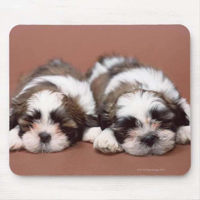 Shih Tzu Mouse Pad (Front)