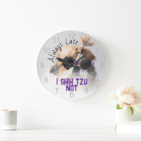 Shih Tzu Not Always Late cute funny dog photo
