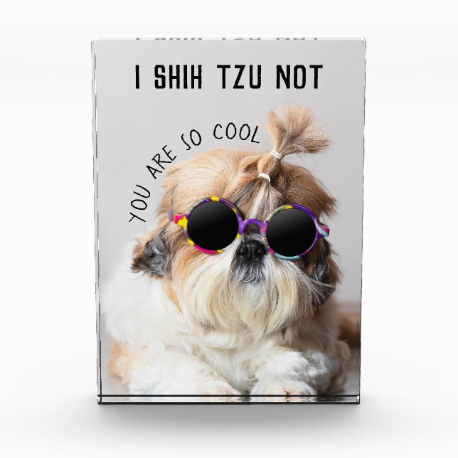 Shih Tzu Not fun cute dog lovers Custom Photo text Block (Front)