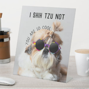 Shih Tzu Not fun cute dog lovers Custom Photo text Pedestal Sign