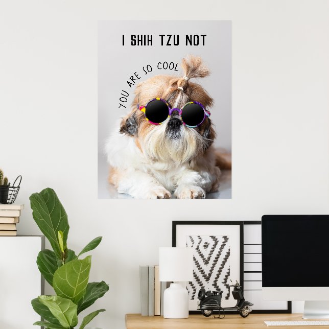 Shih Tzu Not fun cute dog lovers Custom Photo text Poster (Home Office)