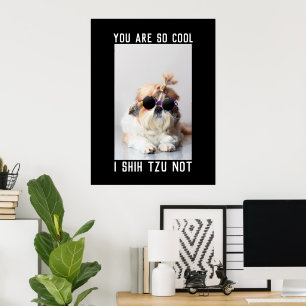 Shih Tzu Not fun cute dog lovers Custom Photo text Poster