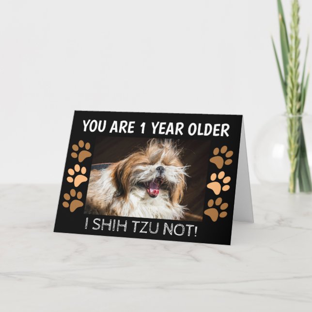 Shih tzu not funny birthday 1 year older Greeting Card (Front)