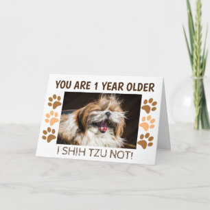 Shih tzu not funny birthday 1 year older Greeting Card
