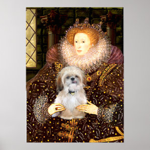 Shih Tzu (P) - Queen Poster