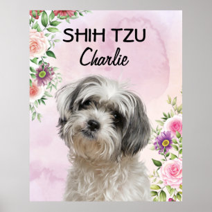 Shih Tzu Personalized Poster