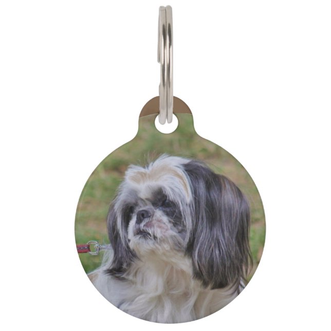 Shih Tzu Pet Tag (Front)