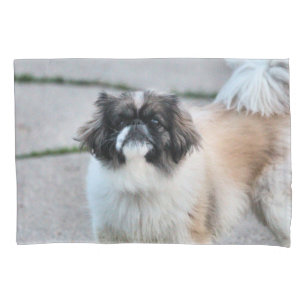 Shih tzu pillowcase