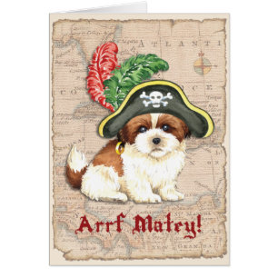 Shih Tzu Pirate