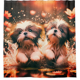 "Shih Tzu Pond Play"