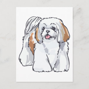 Shih Tzu Postcard