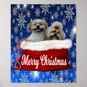 Shih tzu Poster Noël