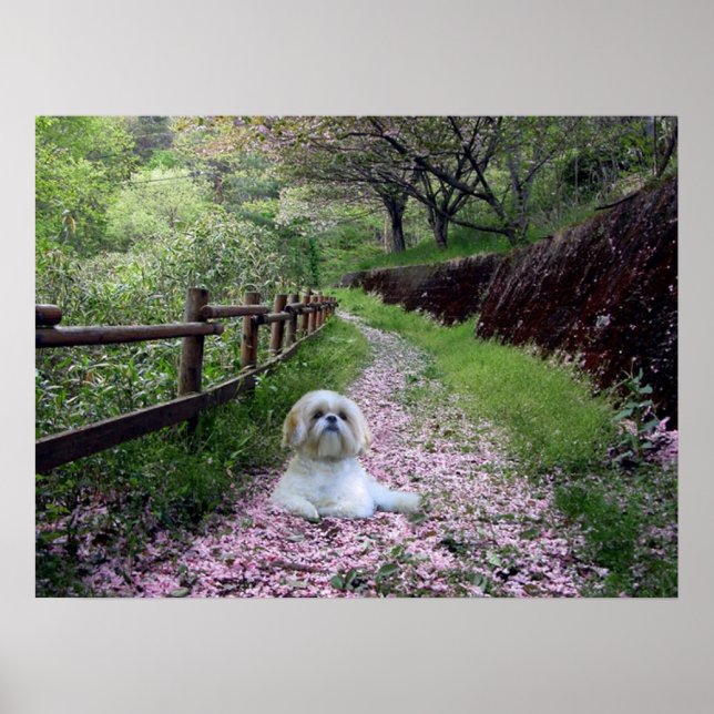Shih Tzu Poster Purple Flowers (Front)