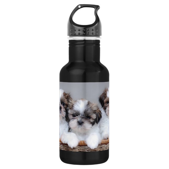 Shih Tzu puppies 532 Ml Water Bottle (Front)