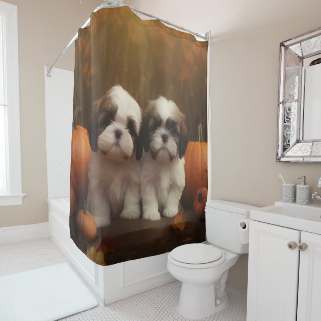 Shih Tzu Puppy Autumn Delight Pumpkin  (In Situ)