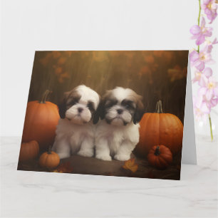 Shih Tzu Puppy Autumn Delight Pumpkin  Card