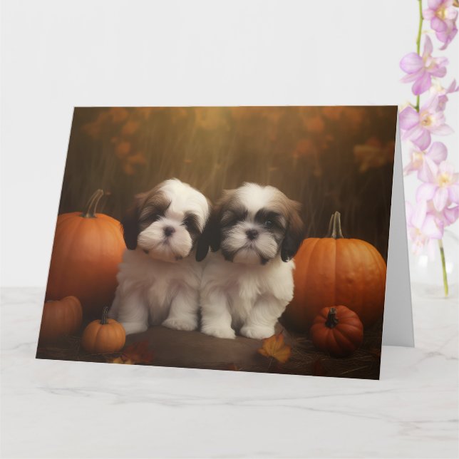 Shih Tzu Puppy Autumn Delight Pumpkin  Card (Orchid)