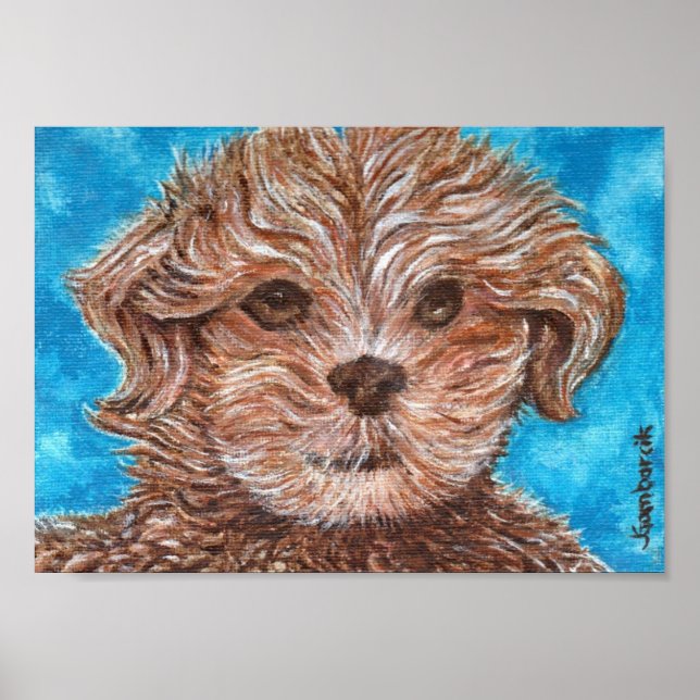 Shih Tzu Puppy Dog Print (Front)