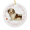 Shih Tzu Puppy First Christmas