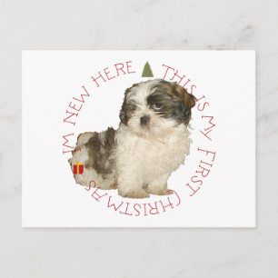 Shih Tzu Puppy First Christmas Holiday Postcard