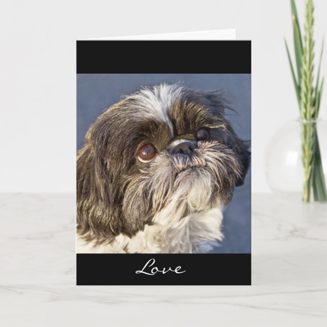 Shih Tzu Puppy Greeting Card - Verse Inside (Front)