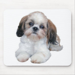 Shih Tzu Puppy Mousepad