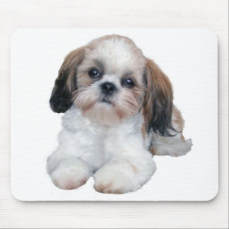 Shih Tzu Puppy Mousepad