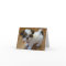 Shih Tzu Puppy Notecards