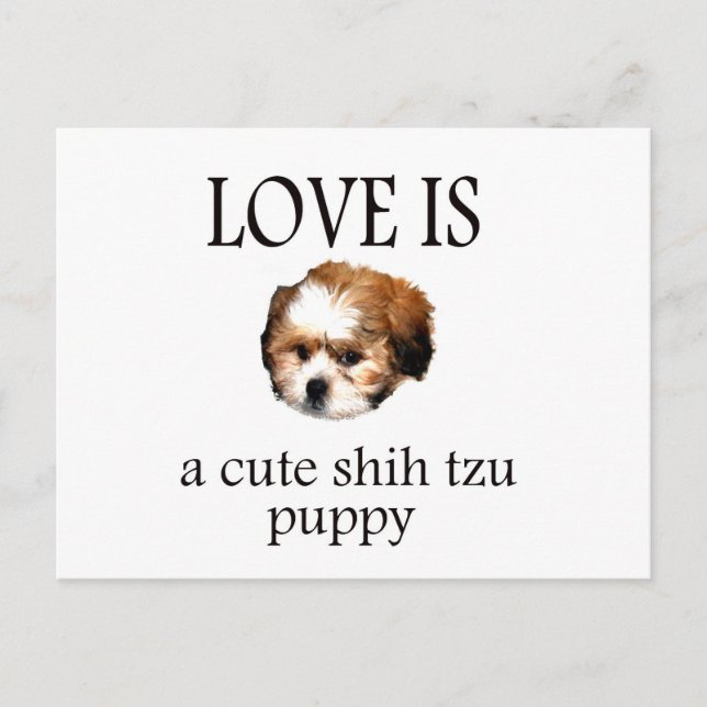 Shih Tzu Puppy Postcard (Front)