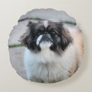 Shih Tzu Round Pillow