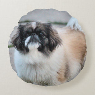 Shih tzu round pillow