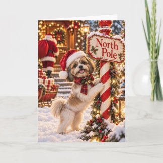 Shih Tzu Santa Hat Christmas Card