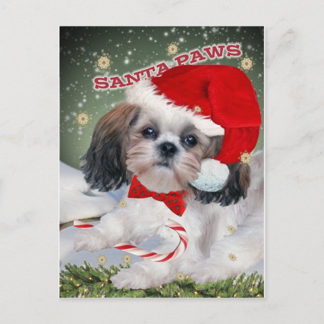 Shih Tzu Santa Paws gifts Holiday Postcard (Front)