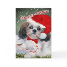 Shih Tzu Santa Paws