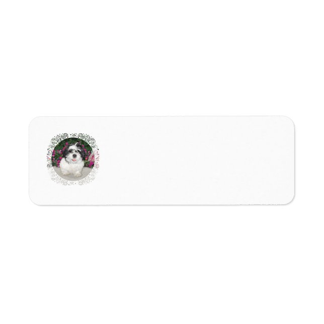 Shih Tzu Secourt Étiquettes de adresse (Devant)