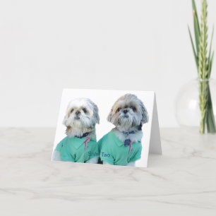 Shih Tzu - Shih Two Greeting Card