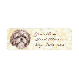 Shih Tzu Sketch