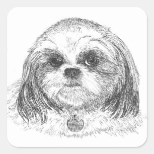 Shih Tzu Square Sticker