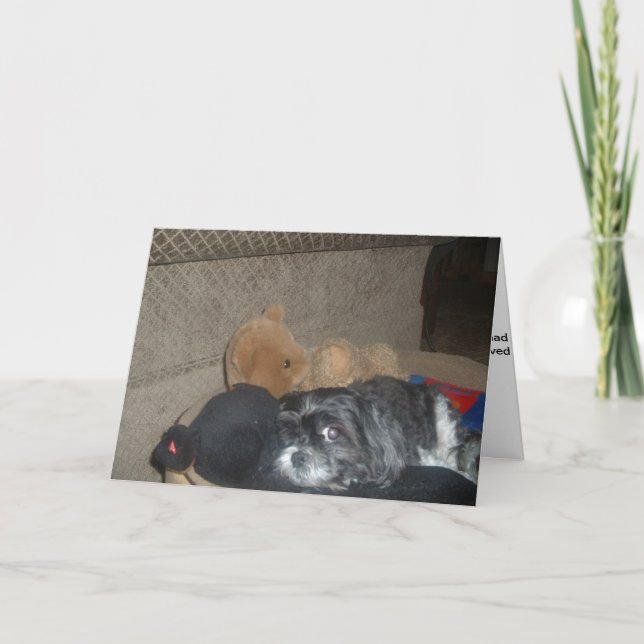 Shih Tzu Sympathy Card (Front)
